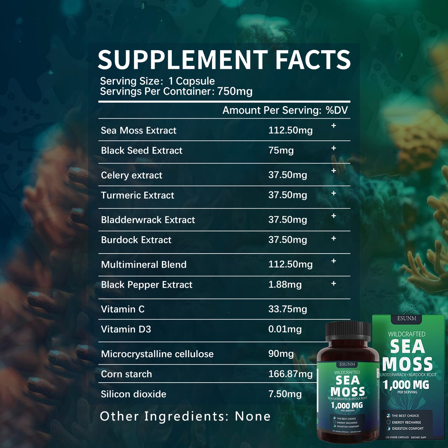 Sea Moss, Bladderwrack & Burdock Root – 1000mg per Serving | Herbal Wellness Capsules