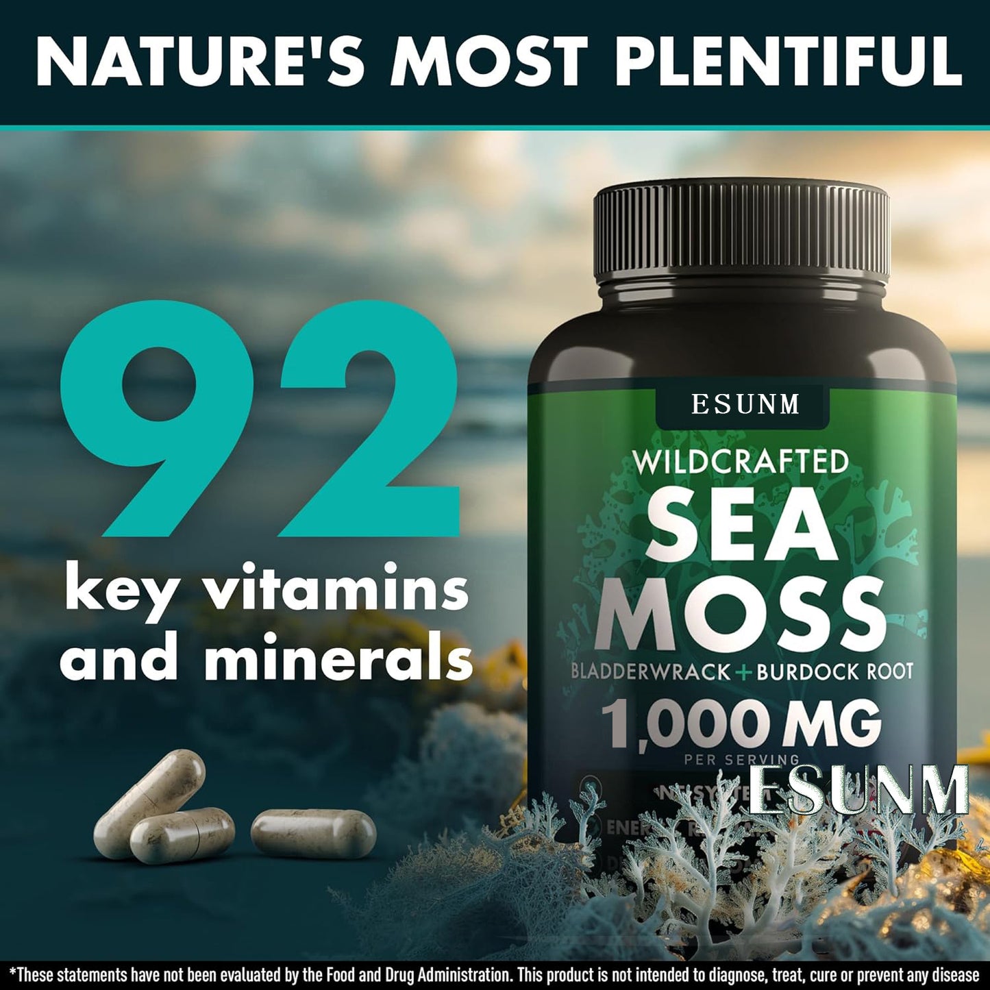 Sea Moss, Bladderwrack & Burdock Root – 1000mg per Serving | Herbal Wellness Capsules
