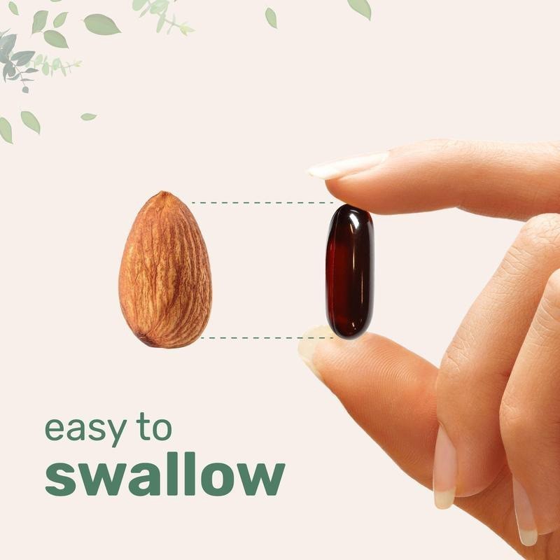Pumpkin Seed Oil + Saw Palmetto – 300 Softgels