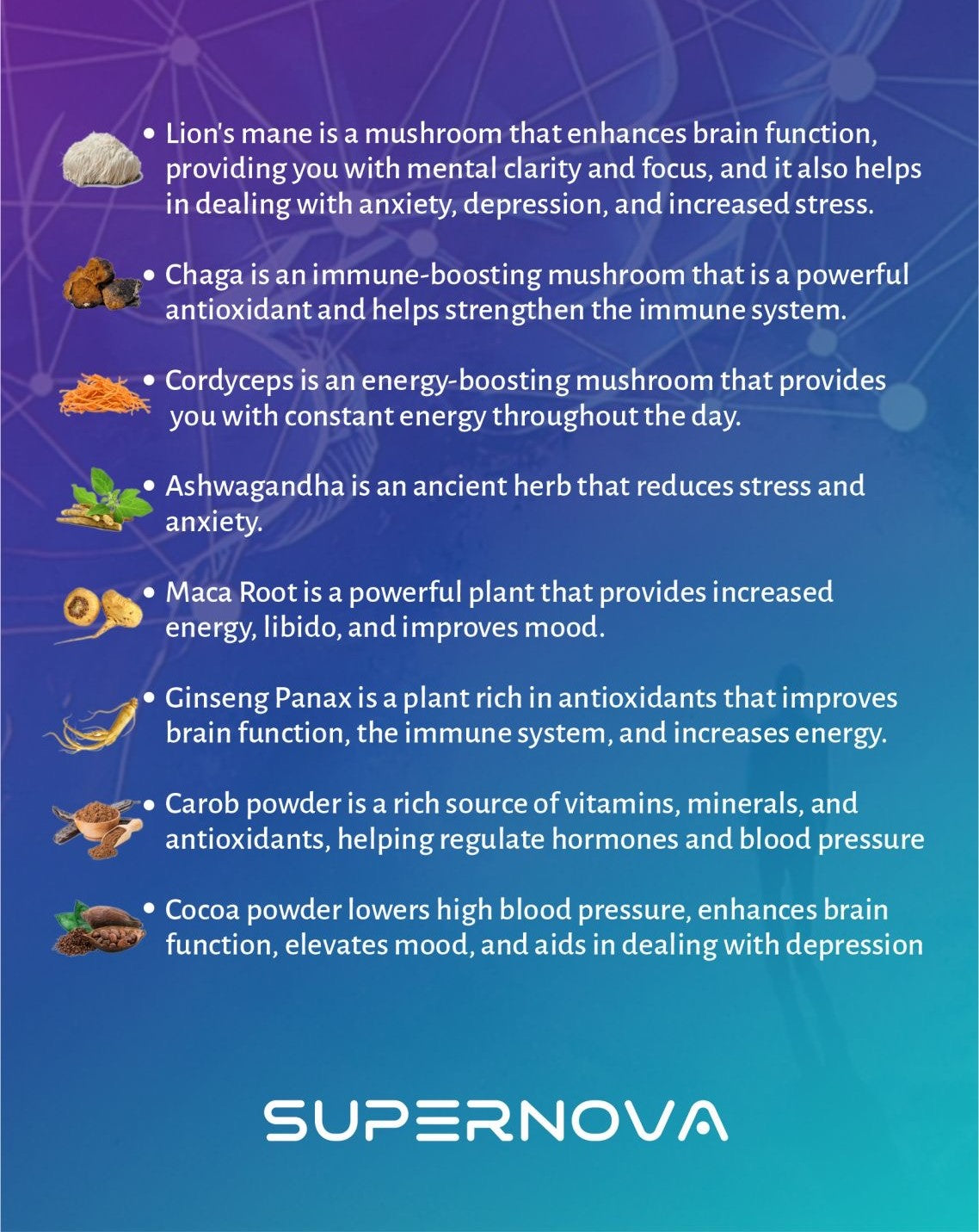 Supernova - Brainbooster Blend -Powerful Mushroom and Adaptogen Cocoa Drink 240g