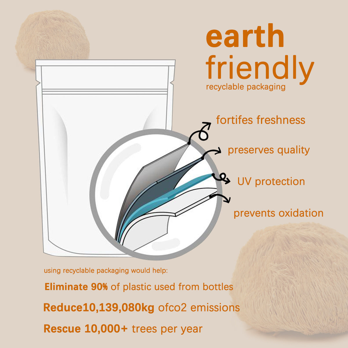 Lion’s Mane Powder