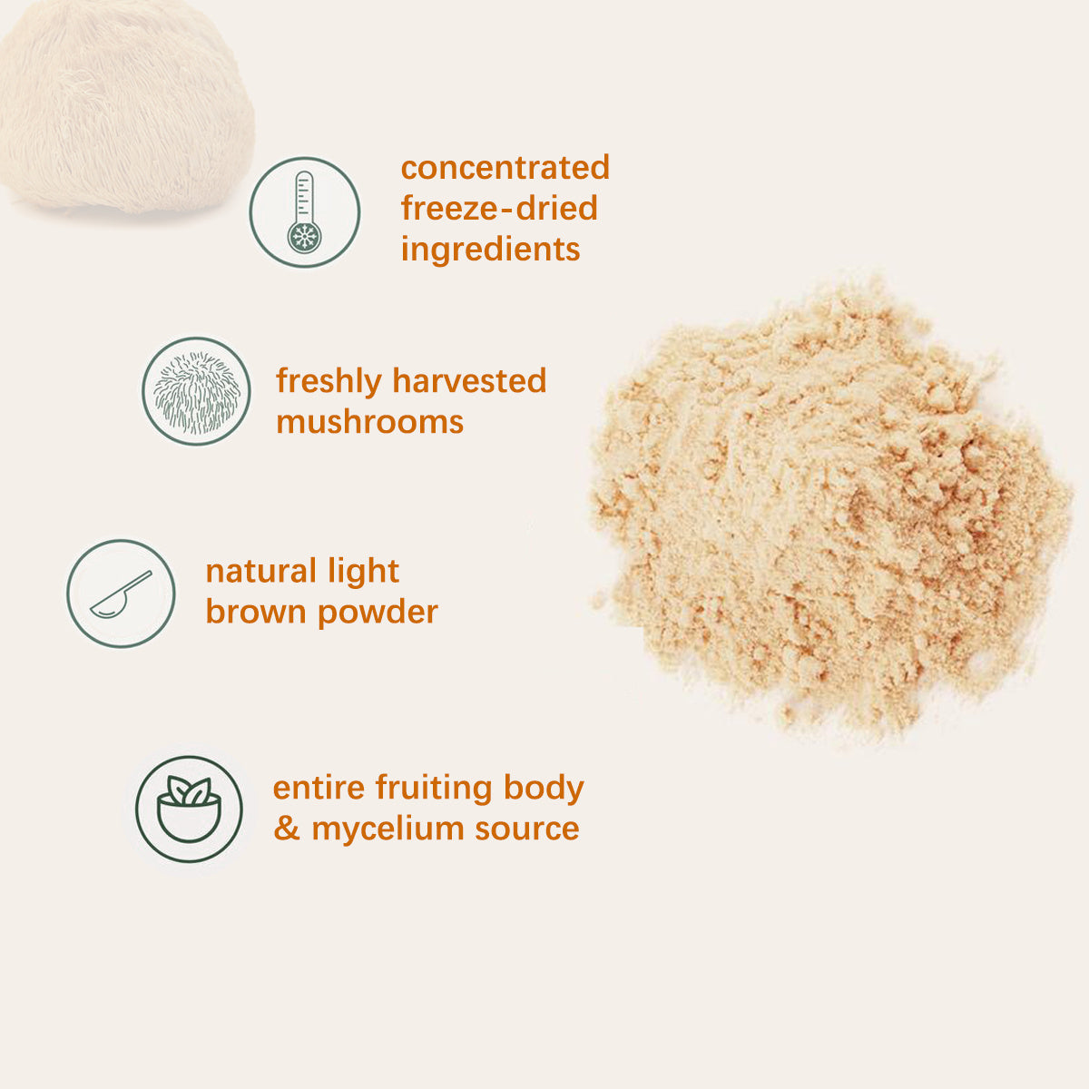 Lion’s Mane Powder